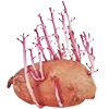 🥔 Эмодзи «🧤 Aesthetics #2 - криповая эстетика» для Telegram