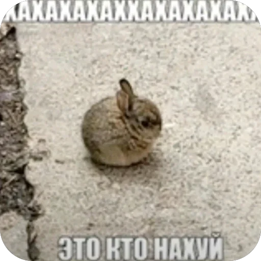 🫥 Стикер «больше» для Telegram
