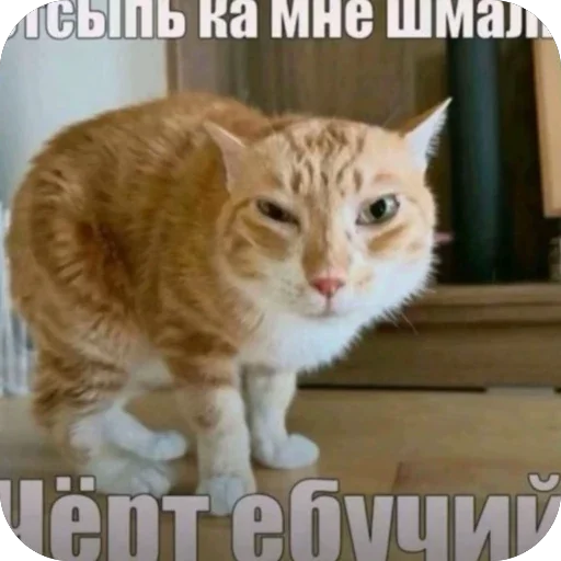 🫥 Стикер «больше» для Telegram