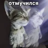 🌟 Эмодзи «tt pic» для Telegram