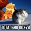 🤯 Эмодзи «tt pic» для Telegram