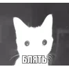 🌟 Эмодзи «tt pic» для Telegram