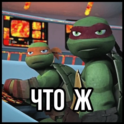 🤨 Стикер «Turtles2012» для Telegram