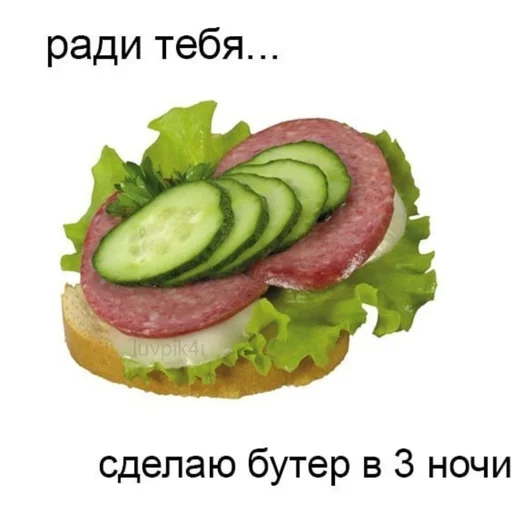 🥪 Стикер «мяввв» для Telegram