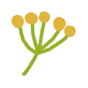 🌼 Эмодзи «Твоя весна - весенний пак с цветочками» для Telegram