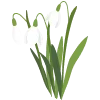 🌷 Эмодзи «Твоя весна - весенний пак с цветочками» для Telegram