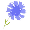 💐 Эмодзи «Твоя весна - весенний пак с цветочками» для Telegram