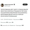 🤩 Эмодзи «Тёрли Спинки Премиум» для Telegram