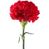 🔥 Эмодзи «May 9 / Victory Day» для Telegram