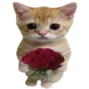 🐈 Эмодзи «Как жизнь? #style #random #cute» для Telegram