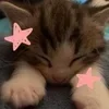 🌟 Эмодзи «Как жизнь? #style #random #cute» для Telegram