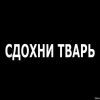 😎 Эмодзи «Лесюшка #girl #status #style» для Telegram