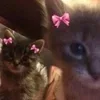 🌟 Эмодзи «Лесюшка #girl #status #style» для Telegram