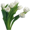 💐 Эмодзи «💐 Набор эмоджи с букетами цветов» для Telegram