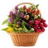 💐 Эмодзи «💐 Набор эмоджи с букетами цветов» для Telegram
