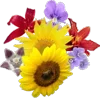 💐 Эмодзи «💐 Набор эмоджи с букетами цветов» для Telegram