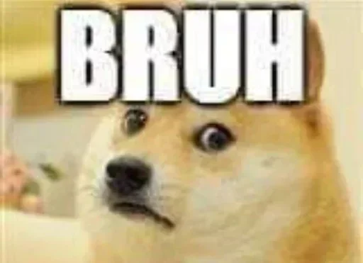😒 Стикер «Shiba Memes» для Telegram