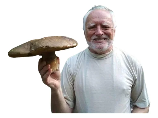 🍄 Стикер «Ultimate Harold» для Telegram