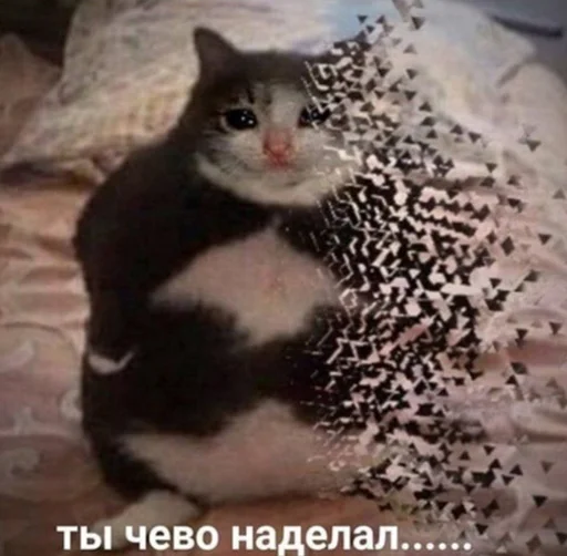 🐱 Стикер «Ultimate Memes Pack» для Telegram