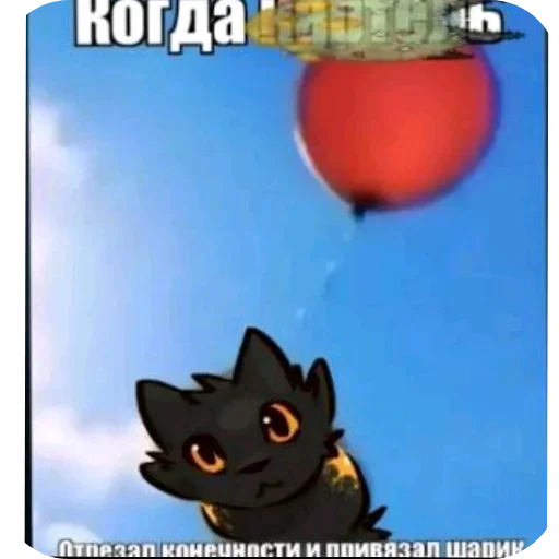 🐱 Стикер «Скав» для Telegram