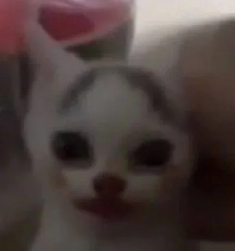 🤡 Стикер «улюблені» для Telegram