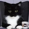 🤩 Эмодзи «Uni Cat» для Telegram