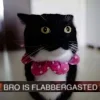 🤩 Эмодзи «Uni Cat» для Telegram