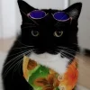 🤩 Эмодзи «Uni Cat» для Telegram