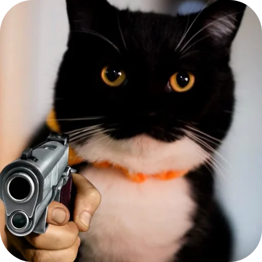 🐱 Стикер «Объединенный стикерпак Unico» для Telegram