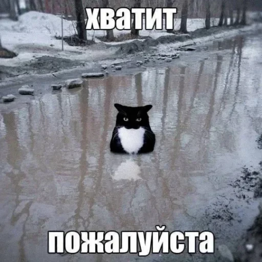 😣 Стикер «Объединенный стикерпак Unico» для Telegram