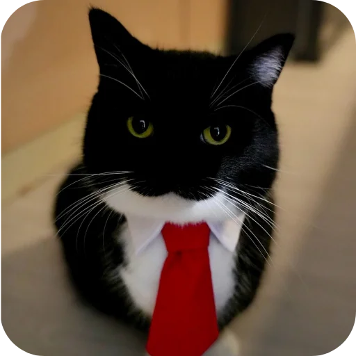 🐱 Стикер «Объединенный стикерпак Unico» для Telegram