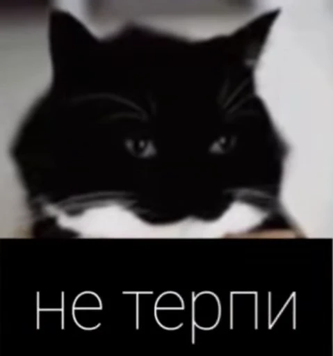🤩 Стикер «Объединенный стикерпак Unico» для Telegram