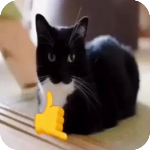 🐱 Стикер «Объединенный стикерпак Unico» для Telegram