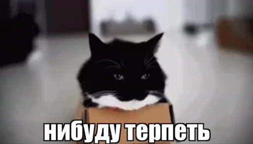 🌟 Стикер «Объединенный стикерпак Unico» для Telegram