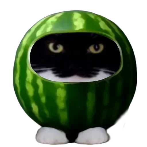 🐱 Стикер «Объединенный стикерпак Unico» для Telegram