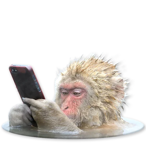 Стикерпак Monkeys Обезьяны для Telegram — скачать