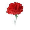 🌹 Эмодзи «9 Мая День» для Telegram