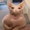 😀 Эмодзи «Uto memes» для Telegram
