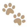 🐾 Эмодзи «Зелёные буквы, иконки» для Telegram