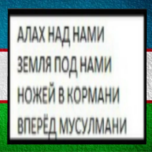 ☝️ Стикер «UZB×stickers‍» для Telegram