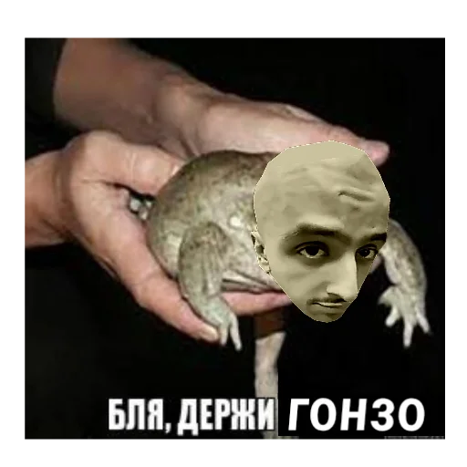 🐸 Стикер «UZB×stickers‍» для Telegram