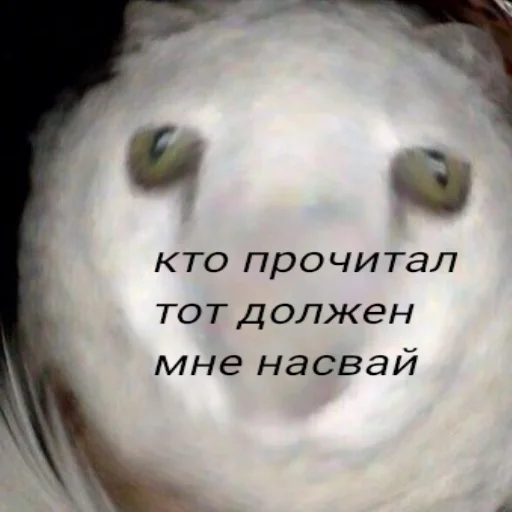 🦛 Стикер «UZB×stickers‍» для Telegram