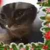 🎄 Эмодзи «New year #newyear #other #cute» для Telegram