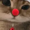 😡 Эмодзи «New year #newyear #other #cute» для Telegram