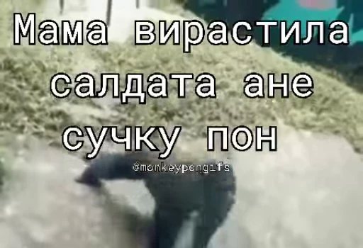 😘 Стикер «Мемные обезьяны» для Telegram
