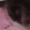 🐾 Эмодзи «Pink #color #pink #cute #girl #status» для Telegram
