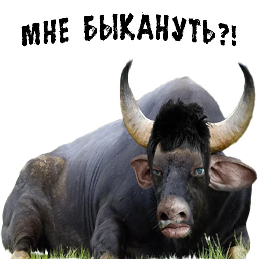 😠 Стикер «Пожилые стикеры» для Telegram