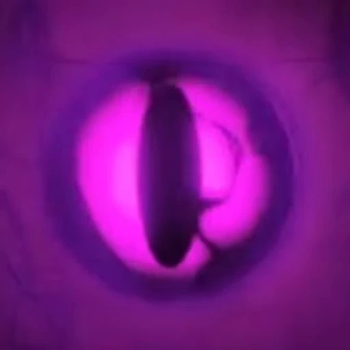 👁 Стикер «VALORANT» для Telegram