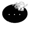💬 Эмодзи «ꪆ Vaꭑթir ୧» для Telegram