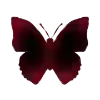 🦋 Эмодзи «ꪆ Vaꭑթir ୧» для Telegram